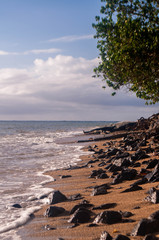 Plage (Ile Maurice)