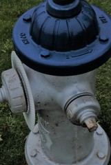 blue fire hydrant