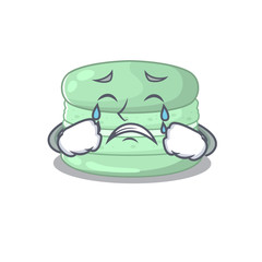 Pistachio macaron cartoon character concept with a sad face