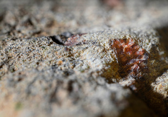 Czech garnet crystals macro view.