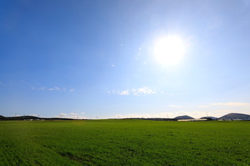 아름다운 녹색의 목초지