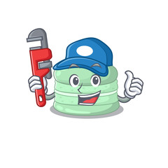 A cute picture of pistachio macaron working as a Plumber