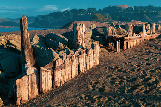 driftwood beach