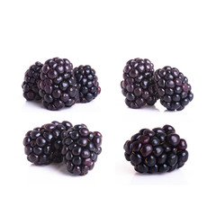 blackberry or fresh blackberry on a background new.