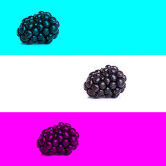 blackberry or fresh blackberry on a background new.