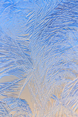 Natural pattern on glass at dawn of the sun.