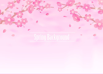 Obraz na płótnie Canvas Cherry blossoms background illustration ( spring season theme )
