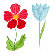 Blue and red flowers, hand painted watercolor illustration