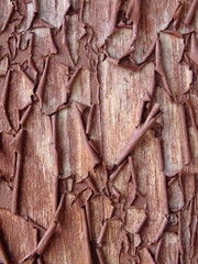 macro image of a wooden wall with cracked brown paint
