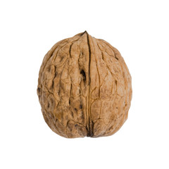 Single walnut isolated on a white background.