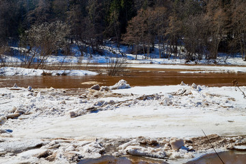 River with ice drift and and forest in a sunny spring day. Big white pieces of ice and snow in spring time and trees arround