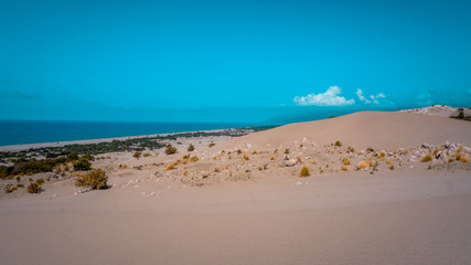 Patara