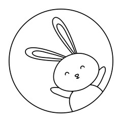 cute rabbit animal in frame circular