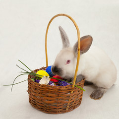 cute Easter light rabbit on a light background with a basket and Easter eggs