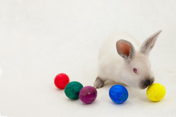 cute Easter light rabbit on a light background with a basket and Easter eggs