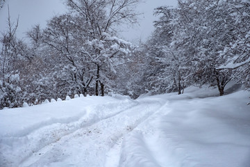 Mountain winter road in snowfall. Beautiful winter landscape. Snow covered dangerous road, blizzard in mountains.