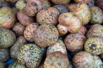 Candlenuts for sale at a market in India. Also known as the Indian Walnut