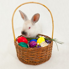 cute Easter light rabbit on a light background with a basket and Easter eggs