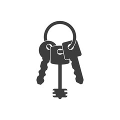 Keys icon vector illustration in modern flat style. Key on keyring icon isolated on white background. Security sign. EPS 10.