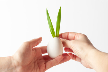 Happy easter composition. White egg and ears of natural green leaves. 