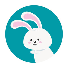cute rabbit animal in frame circular