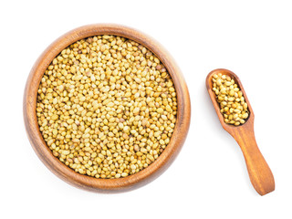 Spice coriander (Coriandrum sativum) in wooden cup and scoop on white. Diet and weight loss concept