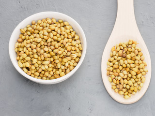 Spice coriander (Coriandrum sativum) seeds in ceramic bowl and wooden spoon on gray concrete background. Indian cuisine, ayurveda, naturopathy concept