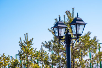 Fototapeta na wymiar Lantern, city lantern, lantern in the park during the day, sunny day.