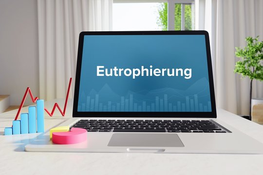 Eutrophierung – Business/Statistik. Laptop im Büro mit Begriff auf dem Monitor. Finanzen, Wirtschaft, Analyse