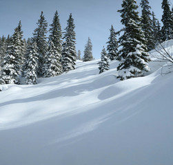 Aufstieg zum Siedljoch
