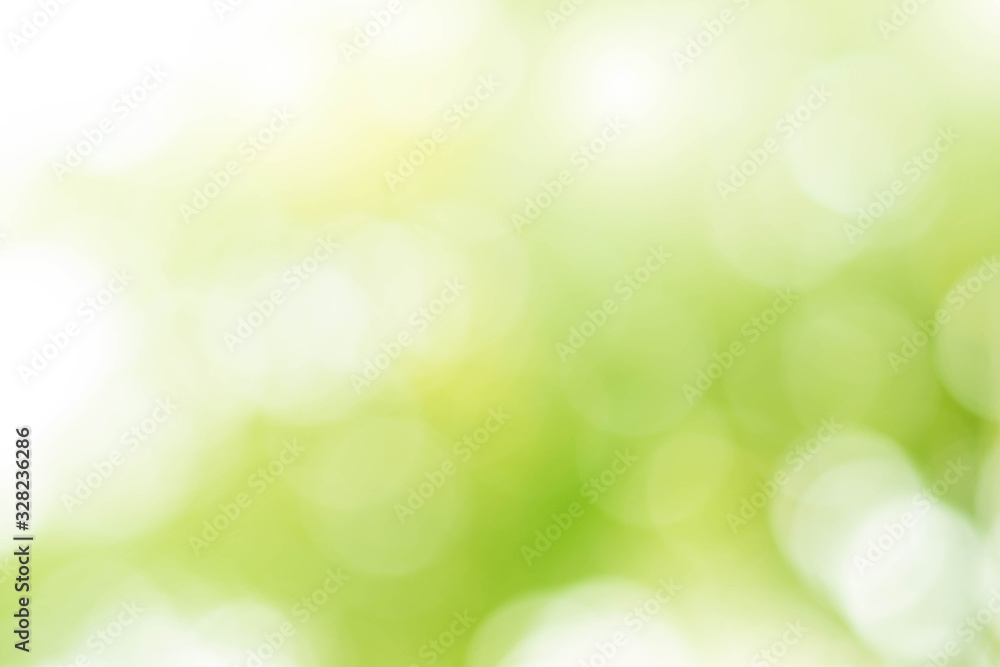 Sticker abstract bokeh green background from the leaves