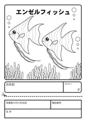 エンゼルフィッシュ　ぬりえ　応募用紙