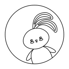 Fototapeta premium cute rabbit animal in frame circular vector illustration design
