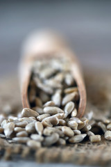 Selective focus. Peeled sunflower seeds in a wooden spatula.