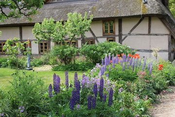 an der Ostsee gibt es noch tradionell mit Reet gedeckte H&auml;user die gerne auch als Ferienhaus genutzt werden 