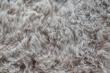 gray soft wool texture background,  wool, light natural wool, close-up texture of gray fluffy fur