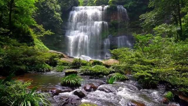 A cascade in the sunlight surrounded by lush trees and grass; the cascade flowing along a steep cliff