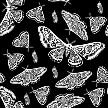 Night moth, butterfly pupa. Vector illustration. Seamless pattern.