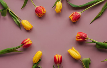 Yellow and red tulips on a pink isolated background copy space. Round frame of tulips.
