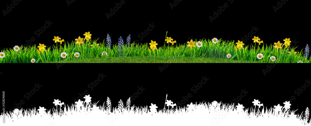Wall mural spring grass and daisy wildflowers isolated with clipping path and alpha channel
