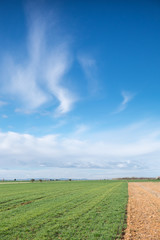 Paisaje de campo de cultivo con cielo azul y nubes.