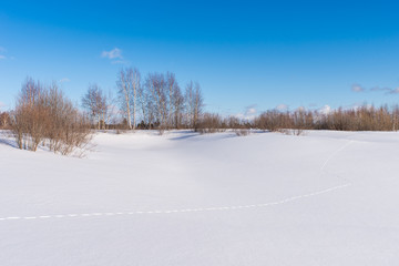 Fototapeta na wymiar Traces of animals in a winter snow field
