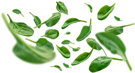 Green spinach leaves levitate on a white background