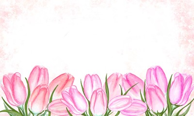 Pink tulips border. Hand painted blooming frame of tender tulips bouquet. Watercolor stains and blots. Horizontal design isolated on white. Design for cards. Space for text. Spring.