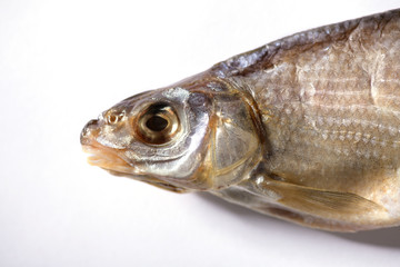 dried fish fisherman on a white background