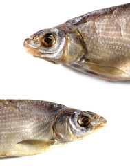 dried fish fisherman on a white background
