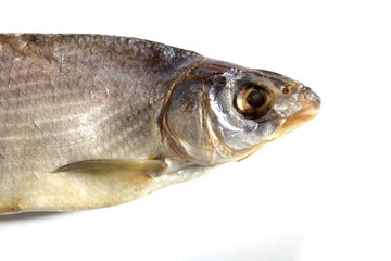 dried fish fisherman on a white background