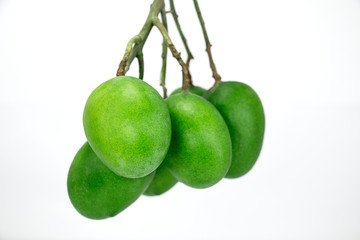 Hanging raw green mangoes