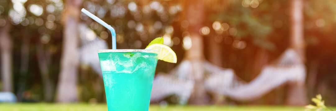 Fresh cocktail with strow on the grass, banner.