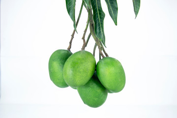 group of raw green green mangoes